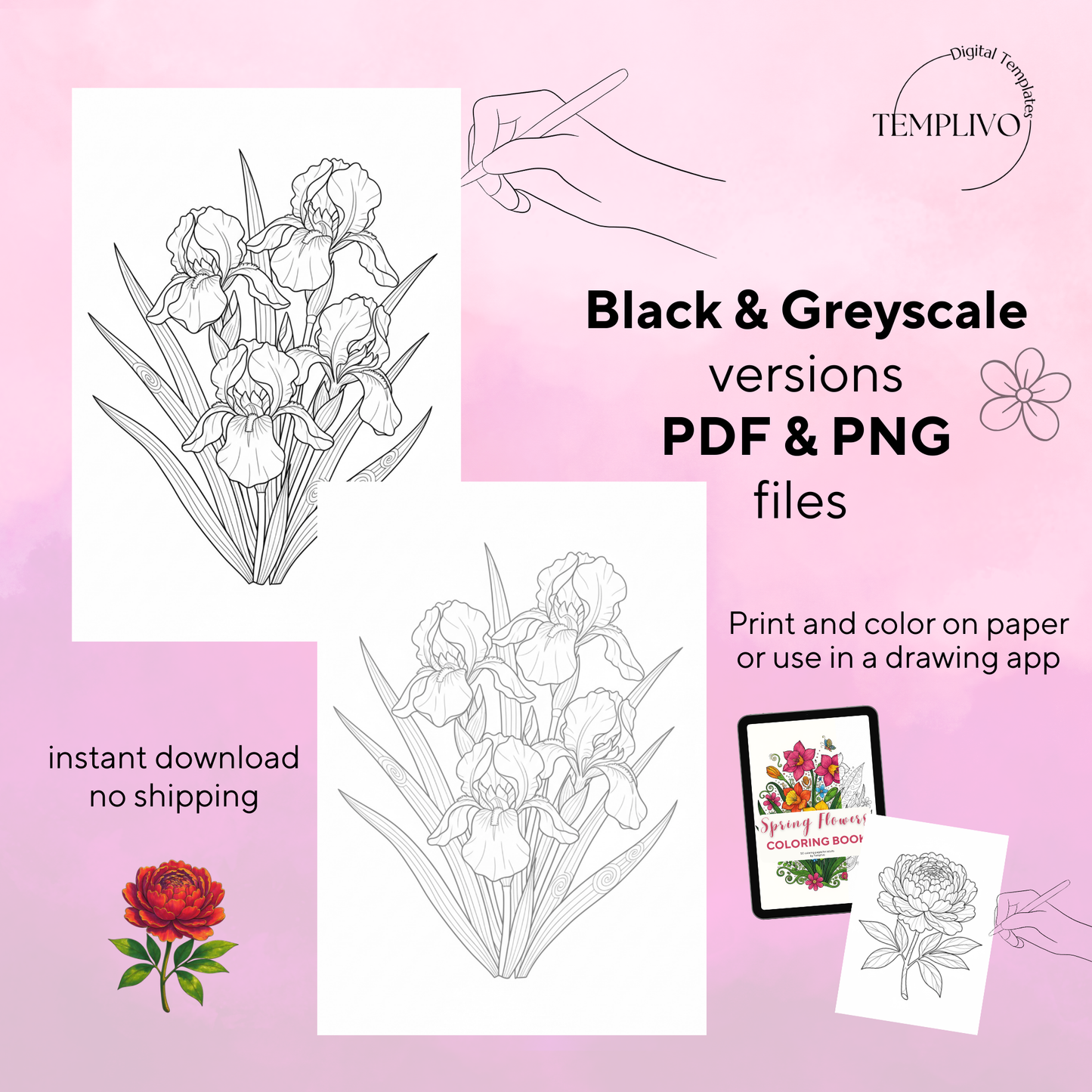 Coloring Book - Spring Flowers