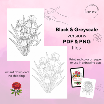 Coloring Book - Spring Flowers