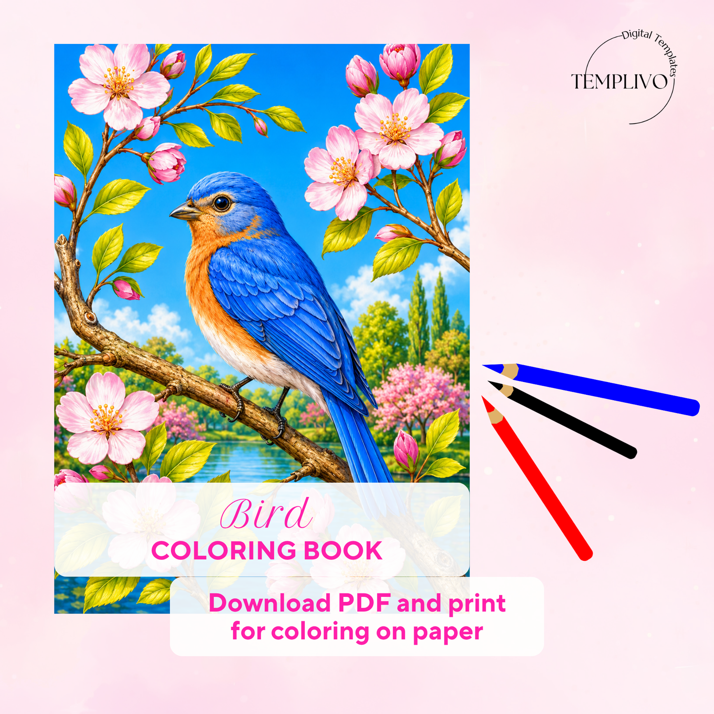 Adult coloring book, birds coloring book, bird, livre de coloriage, pdf, png, nature coloring pages, adult coloring pages, doodle colouring book, birds colouring pages png, adult coloring pages printable, adult coloring, coloring pages for adults, coloring page digital, Instant download, high detail and intricate, Line art, best seller, grey scale, Vogel Malvorlagen, Vögel Malbuch, Malseiten, oiseau
