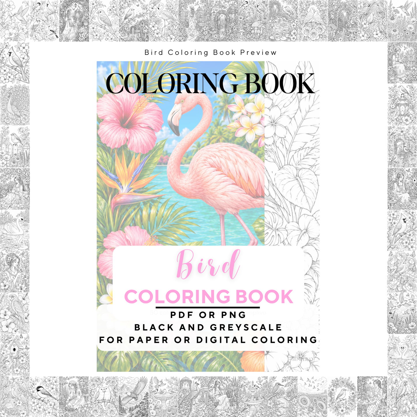 Adult coloring book, birds coloring book, bird, livre de coloriage, pdf, png, nature coloring pages, adult coloring pages, doodle colouring book, birds colouring pages png, adult coloring pages printable, adult coloring, coloring pages for adults, coloring page digital, Instant download, high detail and intricate, Line art, best seller, grey scale, Vogel Malvorlagen, Vögel Malbuch, Malseiten, oiseau