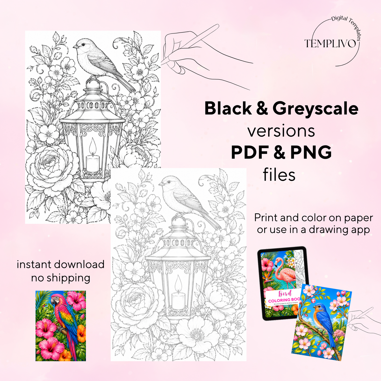 Adult coloring book, birds coloring book, bird, livre de coloriage, pdf, png, nature coloring pages, adult coloring pages, doodle colouring book, birds colouring pages png, adult coloring pages printable, adult coloring, coloring pages for adults, coloring page digital, Instant download, high detail and intricate, Line art, best seller, grey scale, Vogel Malvorlagen, Vögel Malbuch, Malseiten, oiseau